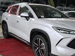 بي واي دي سونغ L DM-i